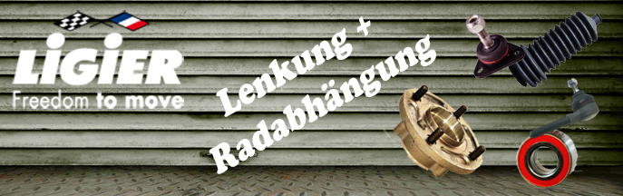Lenkung & Radaufhängung